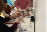 Stage arts plastiques enfant de 3 à 5 ans à Paris 12