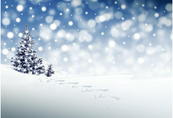 Arbre de Noël formule Noël en Blanc