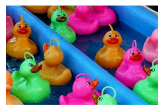Pêche aux Canards de Noël pour entreprise