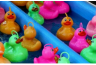 Pêche aux Canards de Noël pour entreprise