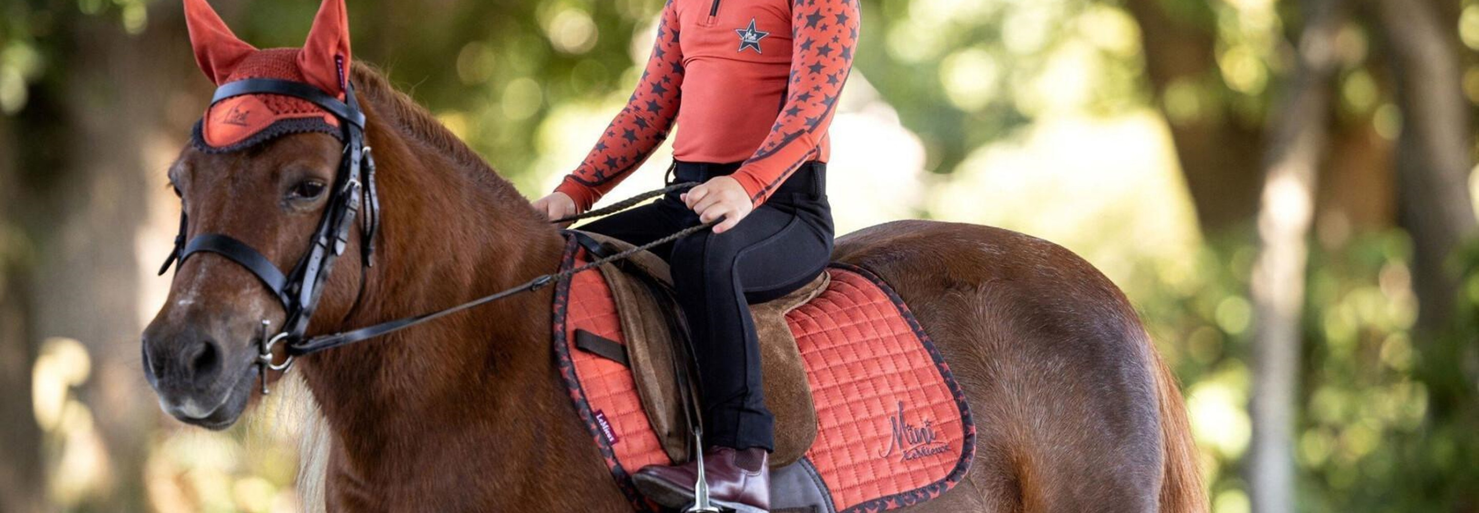 Stage Equitation