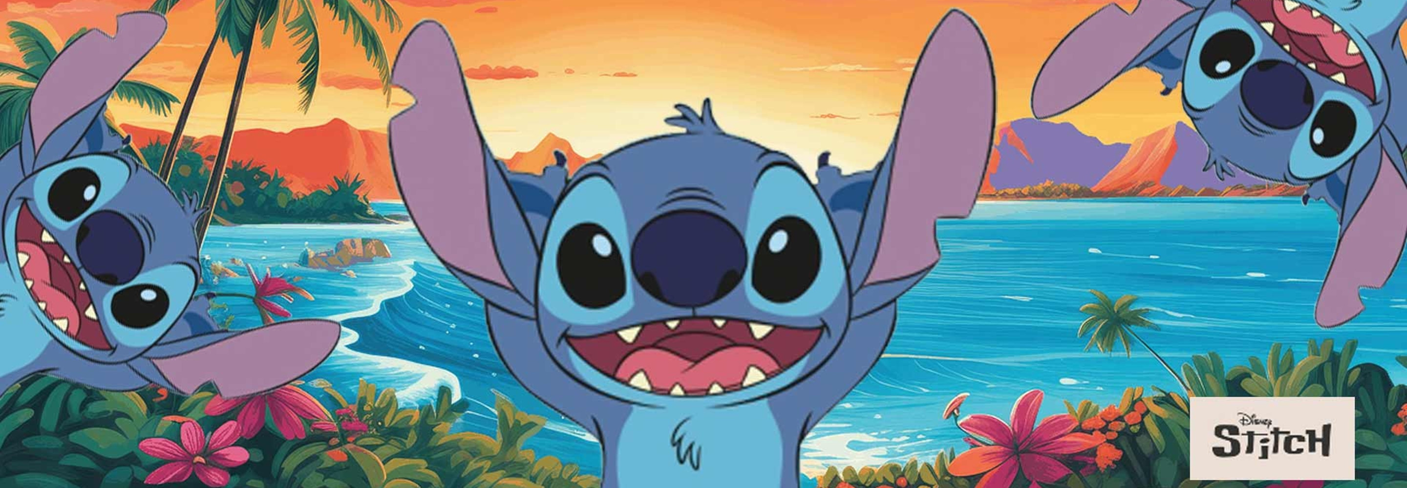 Anniversaire Stitch