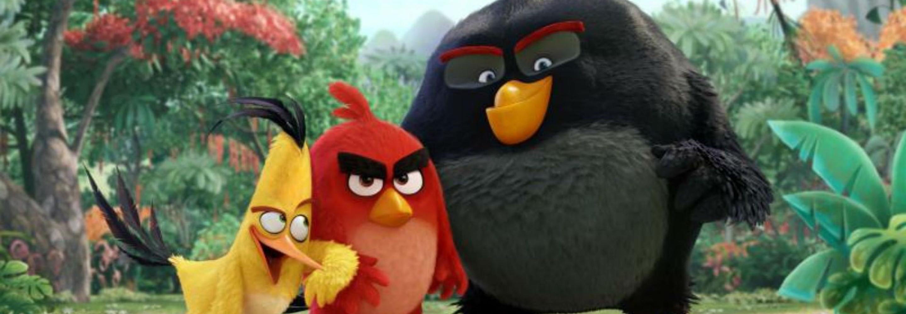 Anniversaire Angry Birds