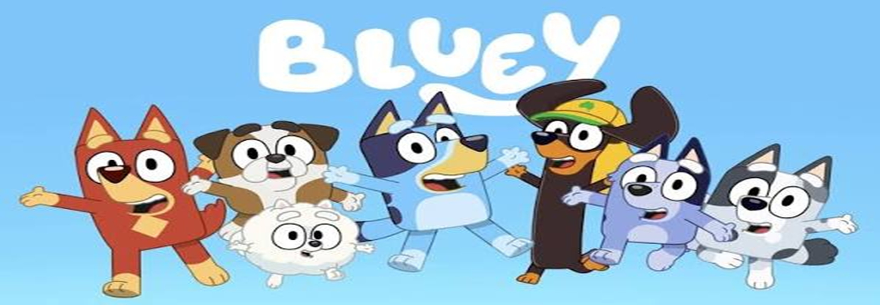 Anniversaire Bluey