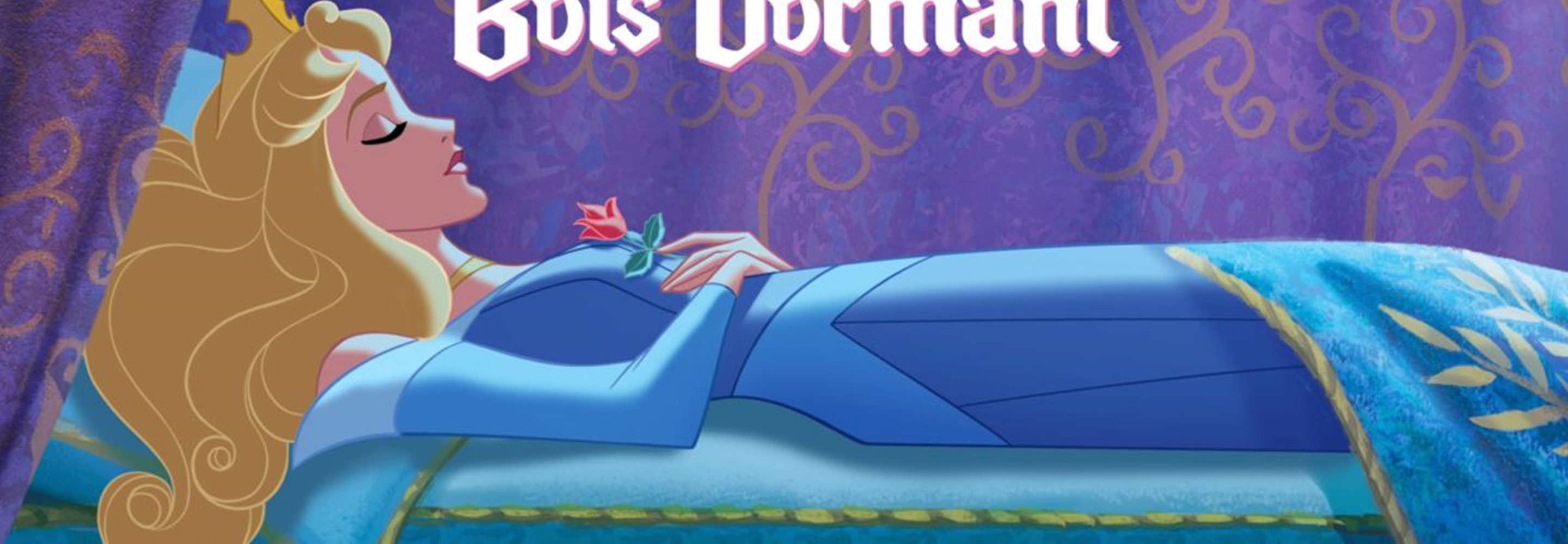 Anniversaire Belle au bois dormant