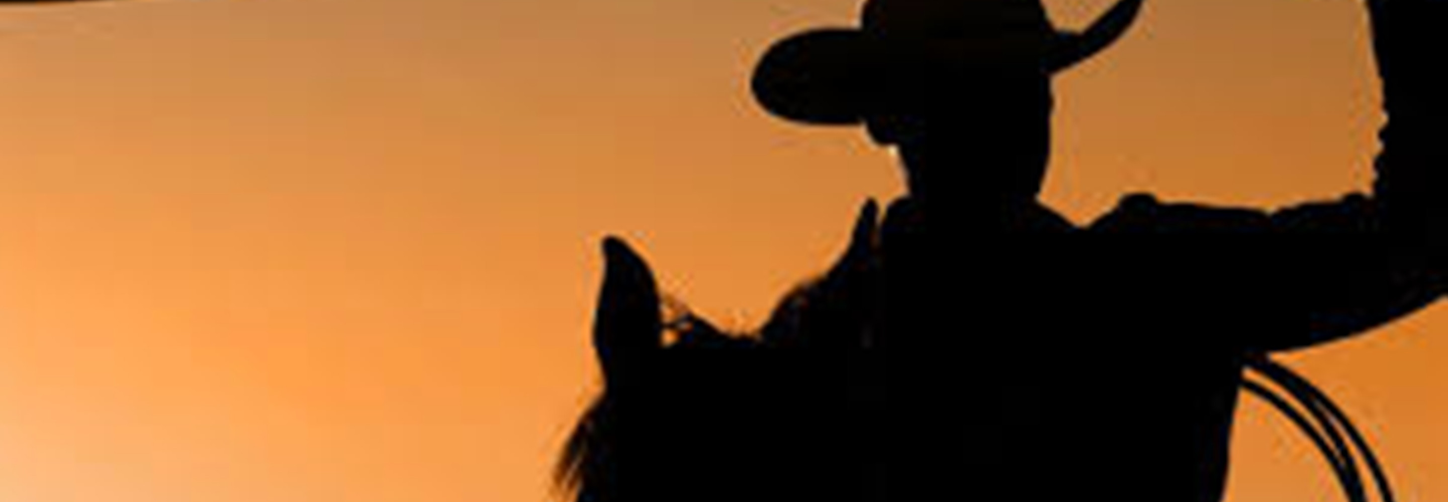 Anniversaire Cowboy