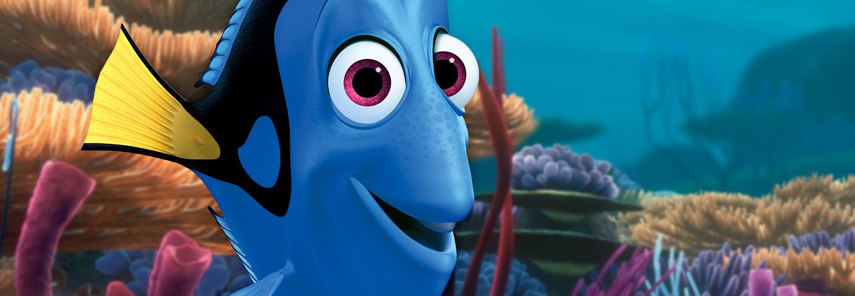 Anniversaire Dory