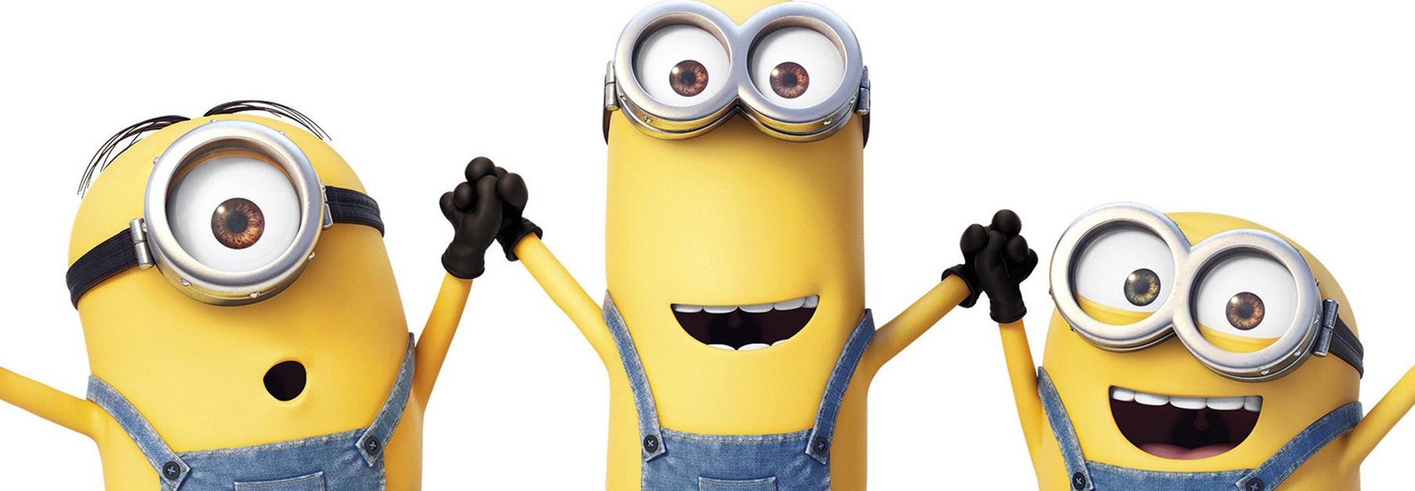 Anniversaire Les Minions
