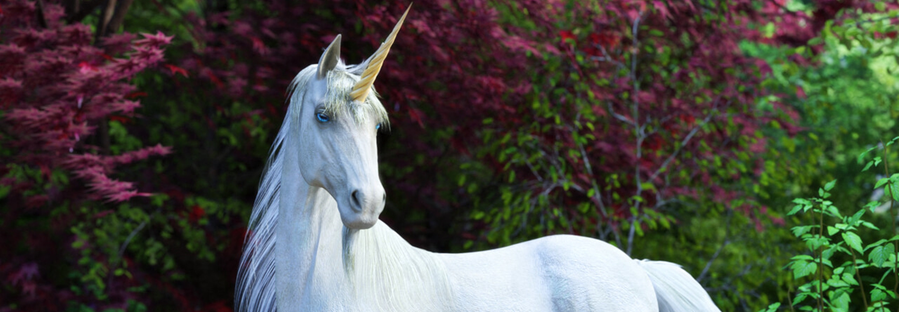 Anniversaire Licorne