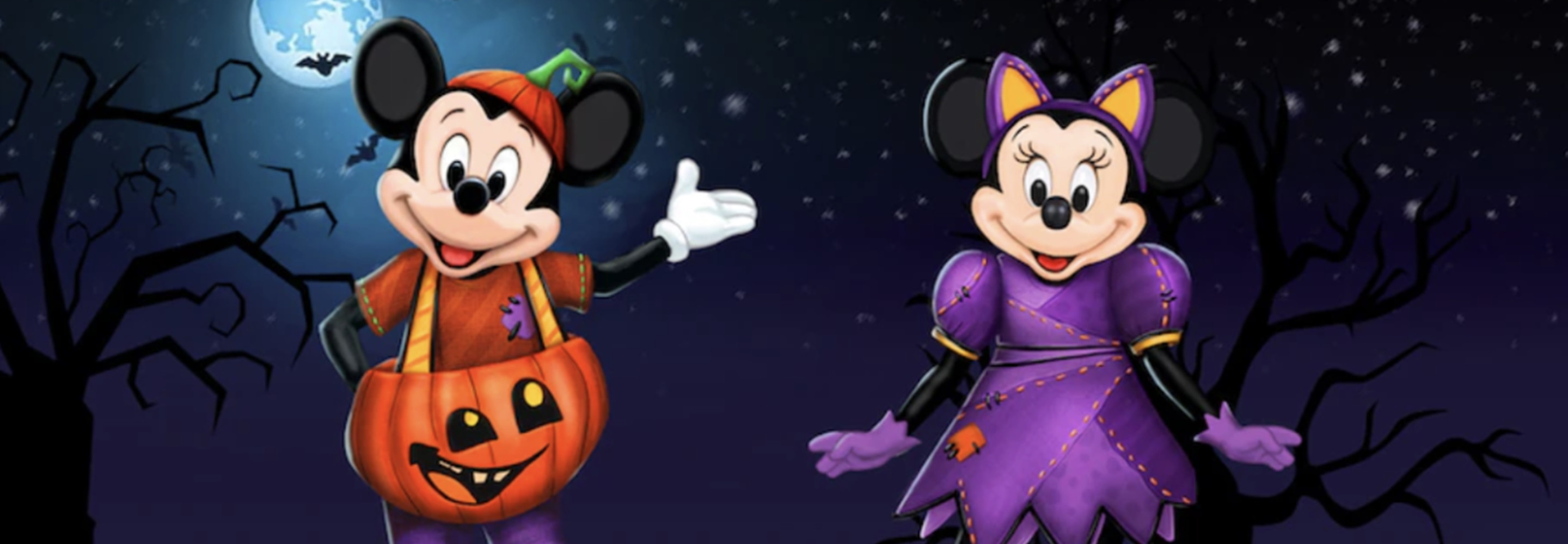 Anniversaire Mickey et Minnie